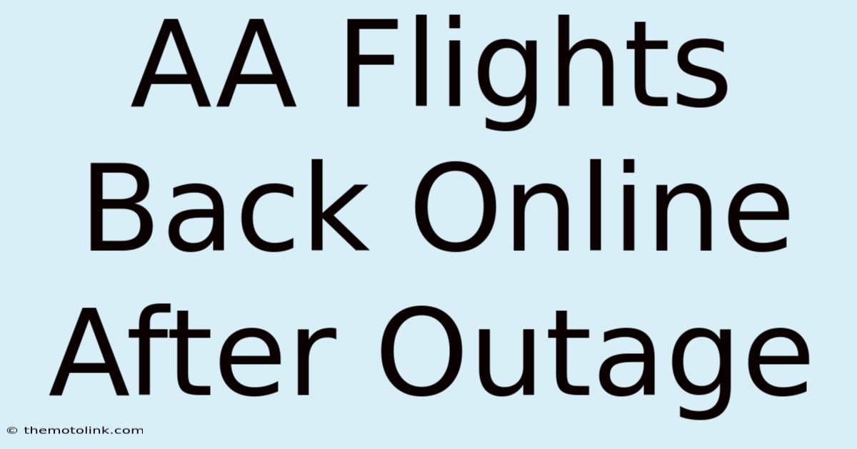 AA Flights Back Online After Outage