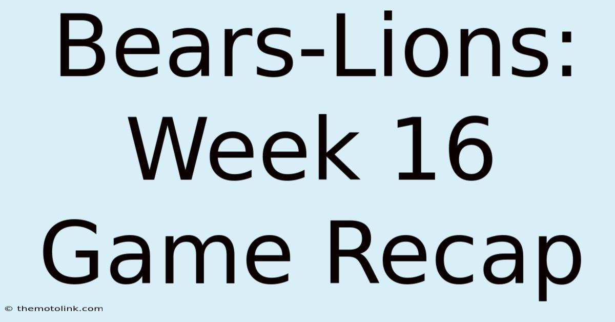 Bears-Lions: Week 16 Game Recap