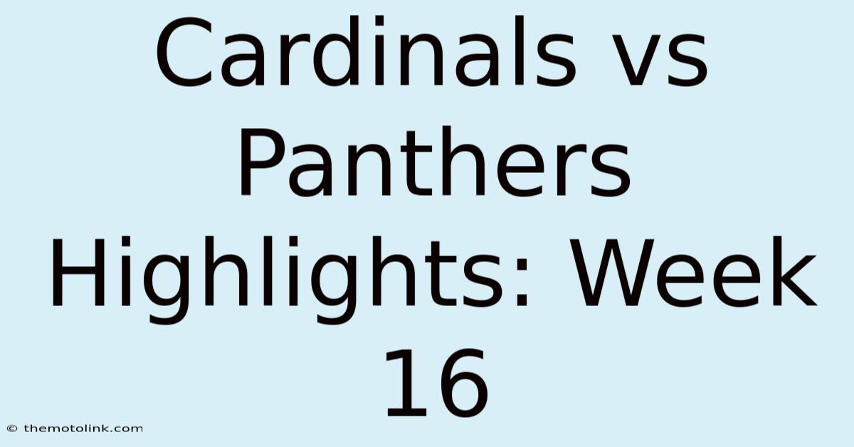 Cardinals Vs Panthers Highlights: Week 16