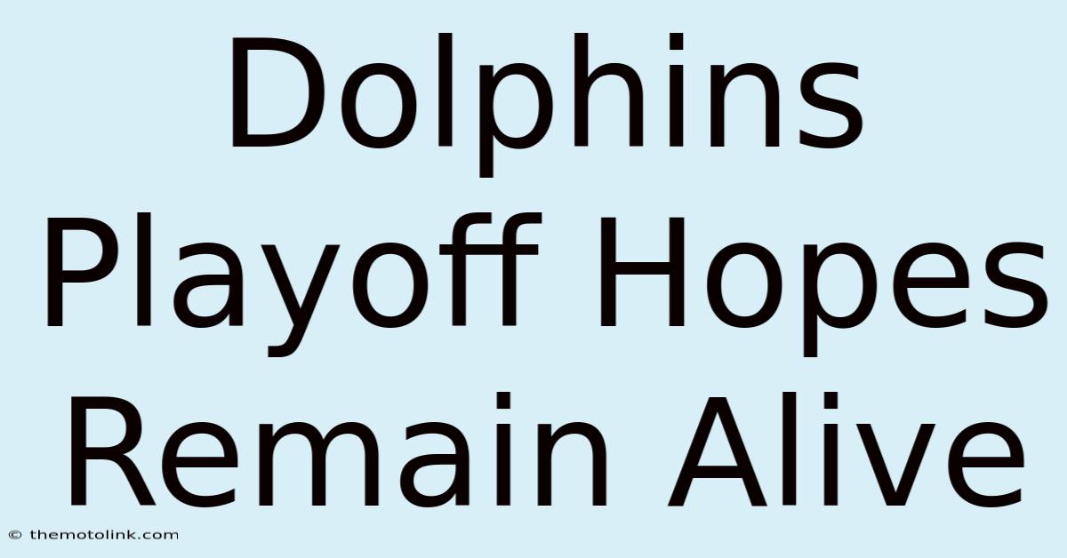 Dolphins Playoff Hopes Remain Alive