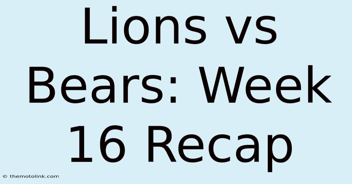 Lions Vs Bears: Week 16 Recap