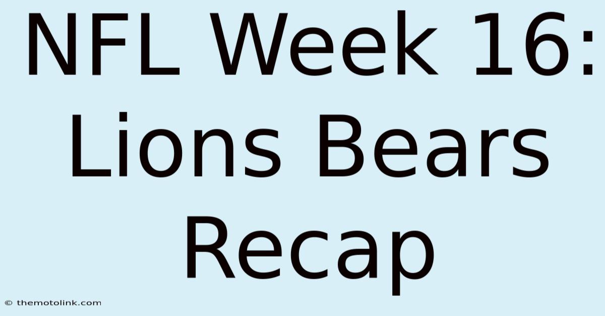 NFL Week 16: Lions Bears Recap